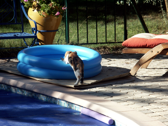 2005-08 001.jpg - DCF 1.0